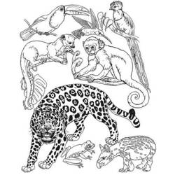 Раскраска: Дикие животные / джунгли (Животные) #21101 - Бесплатные раскраски для печати