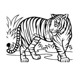 Раскраски: Дикие животные / джунгли - Бесплатные раскраски для печати