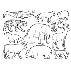 Раскраска: Дикие животные / джунгли (Животные) #21120 - Бесплатные раскраски для печати
