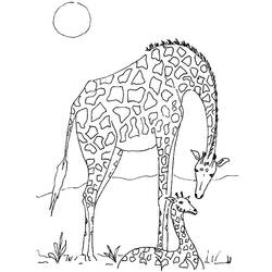 Раскраска: Дикие животные / джунгли (Животные) #21138 - Бесплатные раскраски для печати