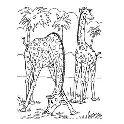 Раскраска: Дикие животные / джунгли (Животные) #21144 - Бесплатные раскраски для печати