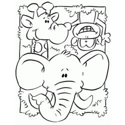 Раскраска: Дикие животные / джунгли (Животные) #21216 - Бесплатные раскраски для печати
