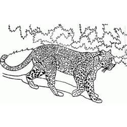 Раскраска: Дикие животные / джунгли (Животные) #21277 - Бесплатные раскраски для печати