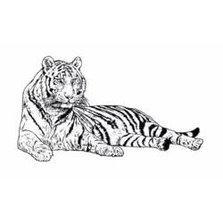 Раскраска: Дикие животные / джунгли (Животные) #21279 - Бесплатные раскраски для печати