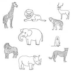 Раскраска: Дикие животные / джунгли (Животные) #21287 - Бесплатные раскраски для печати