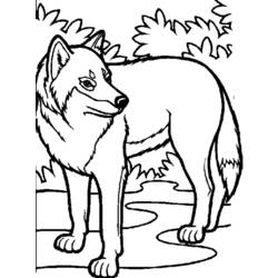 Раскраска: волк (Животные) #10448 - Бесплатные раскраски для печати