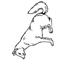 Раскраска: волк (Животные) #10508 - Бесплатные раскраски для печати