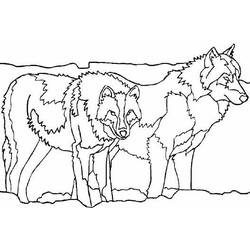 Раскраска: волк (Животные) #10535 - Бесплатные раскраски для печати