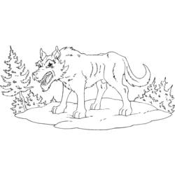 Раскраска: волк (Животные) #10544 - Бесплатные раскраски для печати