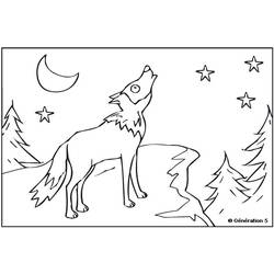 Раскраска: волк (Животные) #10558 - Бесплатные раскраски для печати