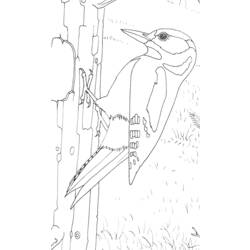 Раскраска: Зеленый пик (Животные) #16717 - Бесплатные раскраски для печати