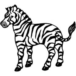 Раскраска: зебра (Животные) #12937 - Бесплатные раскраски для печати