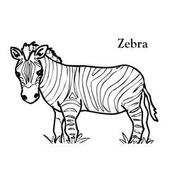 Раскраска: зебра (Животные) #12938 - Бесплатные раскраски для печати