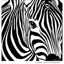Раскраска: зебра (Животные) #12965 - Бесплатные раскраски для печати