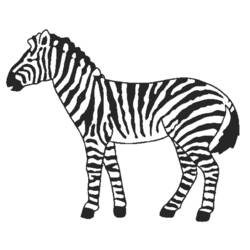 Раскраска: зебра (Животные) #12968 - Бесплатные раскраски для печати