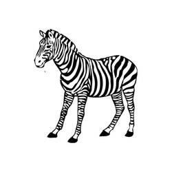 Раскраска: зебра (Животные) #12972 - Бесплатные раскраски для печати