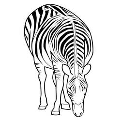 Раскраска: зебра (Животные) #12977 - Бесплатные раскраски для печати