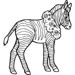 Раскраска: зебра (Животные) #12979 - Бесплатные раскраски для печати