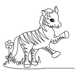 Раскраска: зебра (Животные) #12986 - Бесплатные раскраски для печати