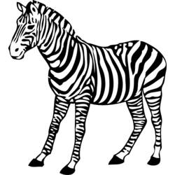 Раскраска: зебра (Животные) #12992 - Бесплатные раскраски для печати