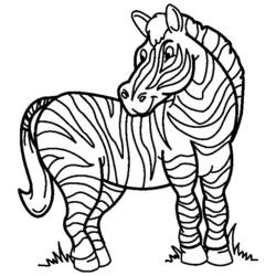 Раскраска: зебра (Животные) #13008 - Бесплатные раскраски для печати