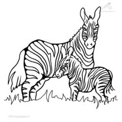 Раскраска: зебра (Животные) #13023 - Бесплатные раскраски для печати