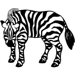 Раскраска: зебра (Животные) #13061 - Бесплатные раскраски для печати