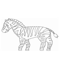 Раскраска: зебра (Животные) #13065 - Бесплатные раскраски для печати