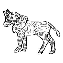 Раскраска: зебра (Животные) #13097 - Бесплатные раскраски для печати