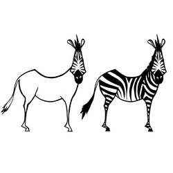 Раскраска: зебра (Животные) #13101 - Бесплатные раскраски для печати