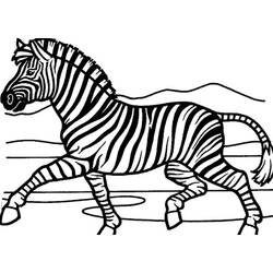 Раскраска: зебра (Животные) #13120 - Бесплатные раскраски для печати