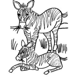 Раскраска: зебра (Животные) #13130 - Бесплатные раскраски для печати