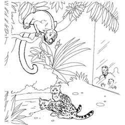 Раскраска: зоопарк (Животные) #12668 - Бесплатные раскраски для печати