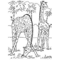 Раскраска: зоопарк (Животные) #12703 - Бесплатные раскраски для печати