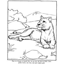 Раскраска: зоопарк (Животные) #12795 - Бесплатные раскраски для печати