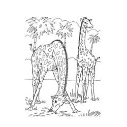 Раскраска: зоопарк (Животные) #12814 - Бесплатные раскраски для печати