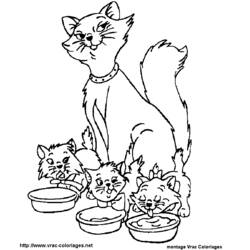 Раскраска: Aristocats (Анимационные фильмы) #26864 - Бесплатные раскраски для печати