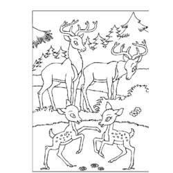 Раскраска: Bambi (Анимационные фильмы) #128630 - Бесплатные раскраски для печати