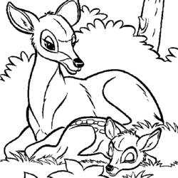 Раскраска: Bambi (Анимационные фильмы) #128656 - Бесплатные раскраски для печати