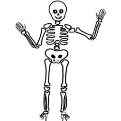 Раскраска: скелет (Персонажи) #147408 - Бесплатные раскраски для печати