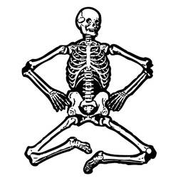 Раскраска: скелет (Персонажи) #147417 - Бесплатные раскраски для печати