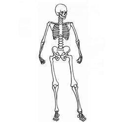 Раскраска: скелет (Персонажи) #147428 - Бесплатные раскраски для печати
