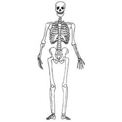Раскраска: скелет (Персонажи) #147444 - Бесплатные раскраски для печати