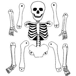 Раскраска: скелет (Персонажи) #147465 - Бесплатные раскраски для печати