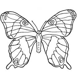 Раскраска: Бабочка Мандалы (мандалы) #117396 - Бесплатные раскраски для печати