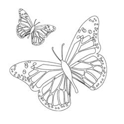 Раскраска: Бабочка Мандалы (мандалы) #117410 - Бесплатные раскраски для печати
