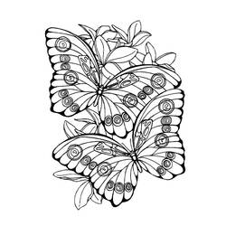 Раскраска: Бабочка Мандалы (мандалы) #117423 - Бесплатные раскраски для печати