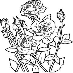 Раскраска: Букет цветов (природа) #160730 - Бесплатные раскраски для печати