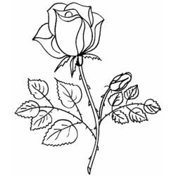 Раскраска: Букет цветов (природа) #160736 - Бесплатные раскраски для печати