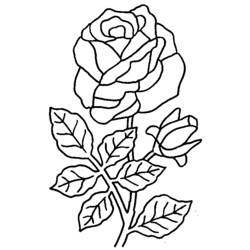 Раскраска: Букет цветов (природа) #160738 - Бесплатные раскраски для печати